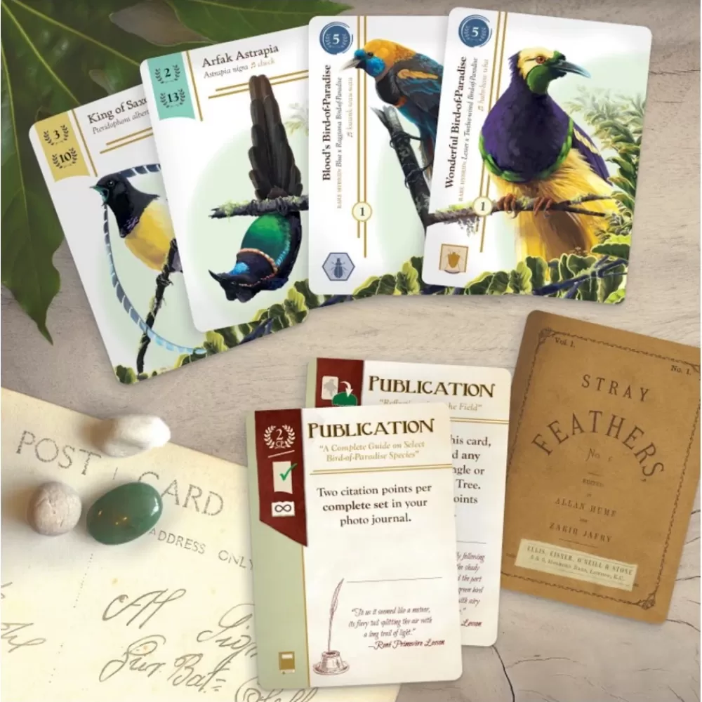 Renegade Game Studio Birdwatcher | Kortspel